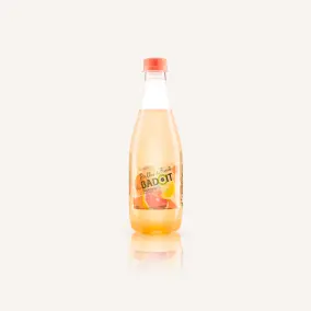 Badoit Pamplemousse 40 cl.