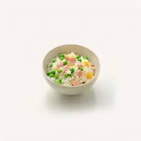 Riz Cantonais